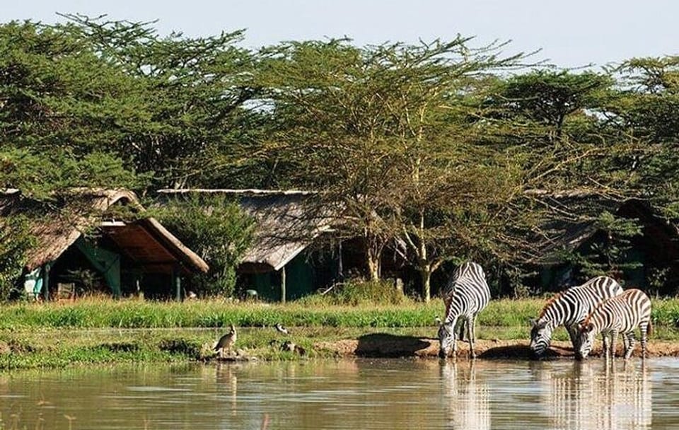 6 Days Samburu Sweetwaters Lake Nakuru and Lake Naivasha Tour
