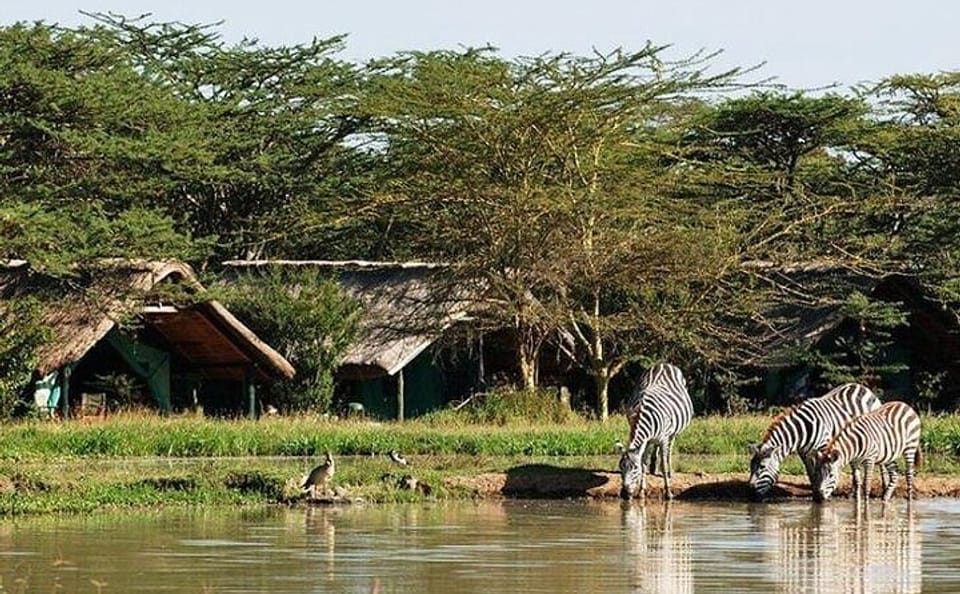 6-Day Adventure Tour of Samburu, Sweetwaters, and Naivasha