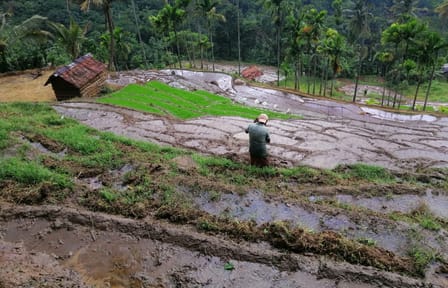 Hiking Tour in Knuckles Mountain Range from Kandy