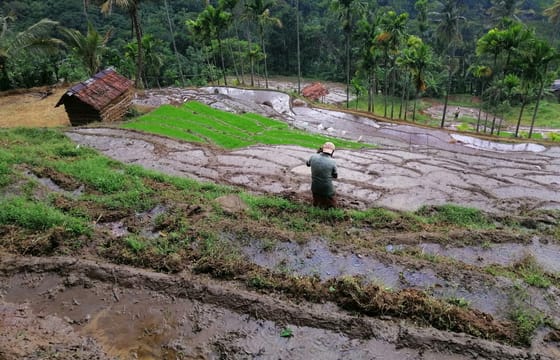 Knuckles Mountain Range Hiking and Trekking Day Tour From Kandy City