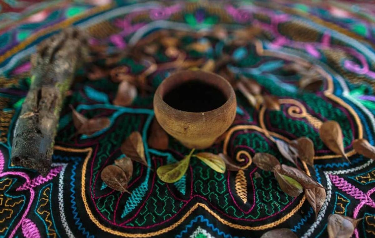 Ayahuasca Retreat Experience in Pucallpa, Peru for One Night