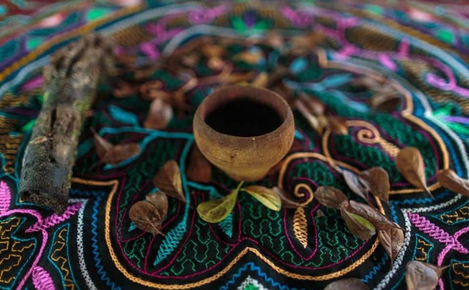 Ayahuasca Retreat Experience in Pucallpa, Peru for One Night