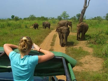 2 Days Tour to Galle & Udawalawe National Park