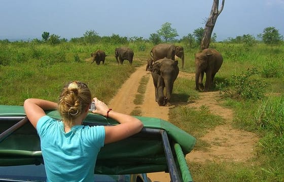 2 Days Tour to Galle & Udawalawe National Park