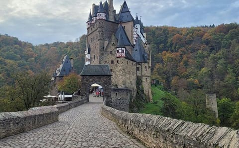 Private Tour of Eltz Castle from Koblenz with Transport