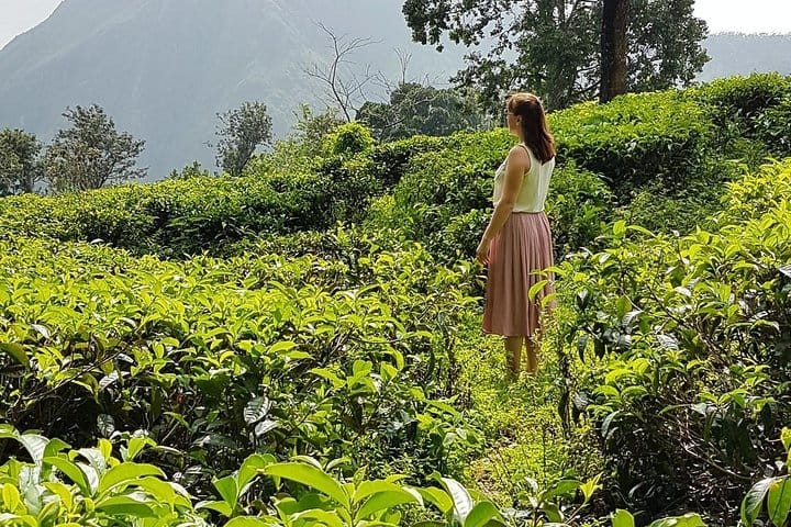 11 Days Tour Of Taprobane