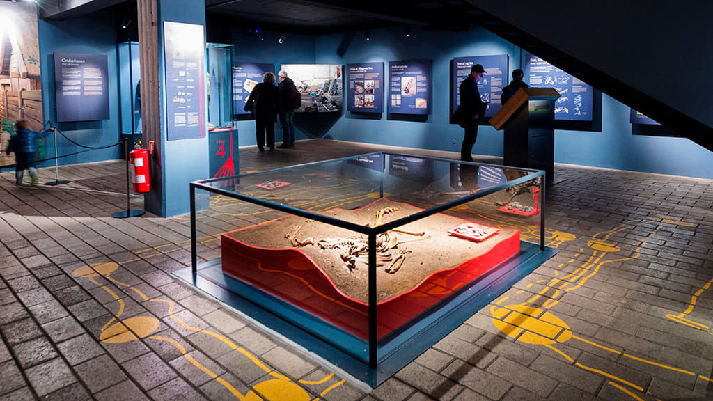 Århus- Aros museum, Den gamle by (the old city), Viking museum, Århus cathedral, Latin quarter,