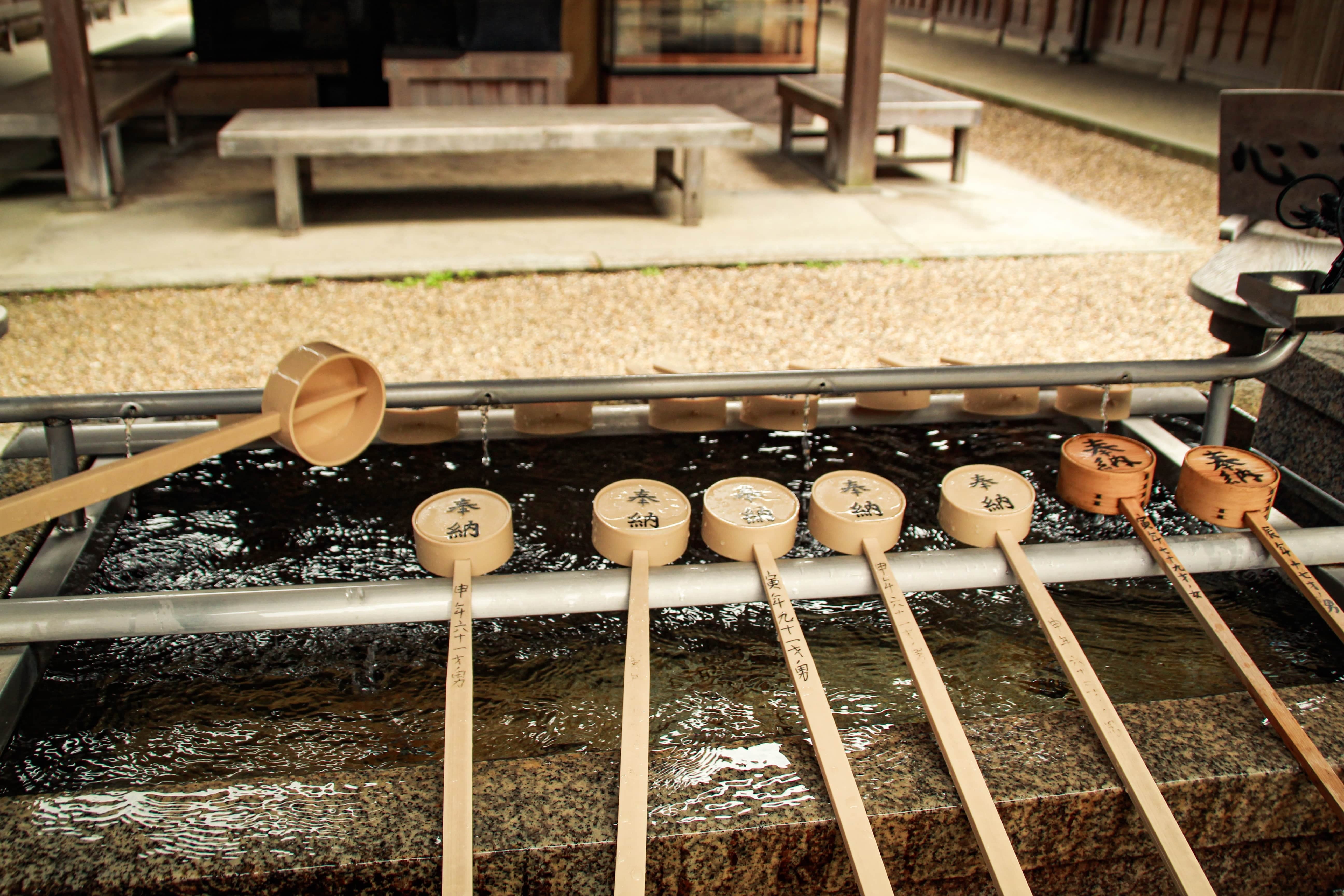 Nara Custom Day Tour