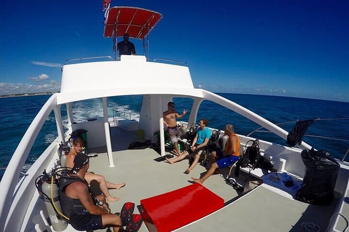 5 tours in 1 (Eco Farm/Horseback/City Tour/Buggy/Zipline)