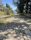 Palermo: Monte Pellegrino Hike, Sanctuary & Juice 10