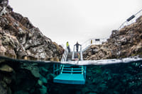 Reykjavík Whales & Snorkeling 2