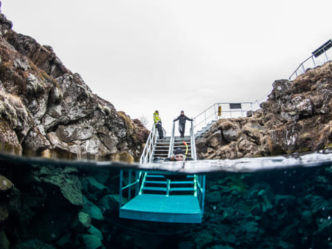 Reykjavík Whales & Snorkeling, photo 2