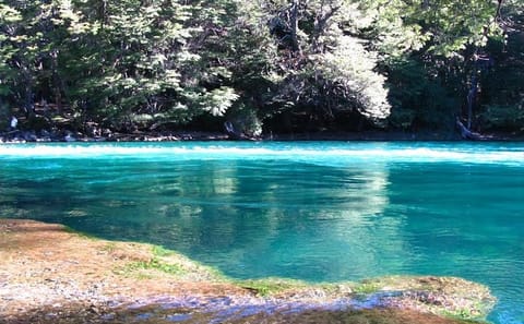 Private Tour of Manso River Lakes and Alerces Waterfall in Bariloche
