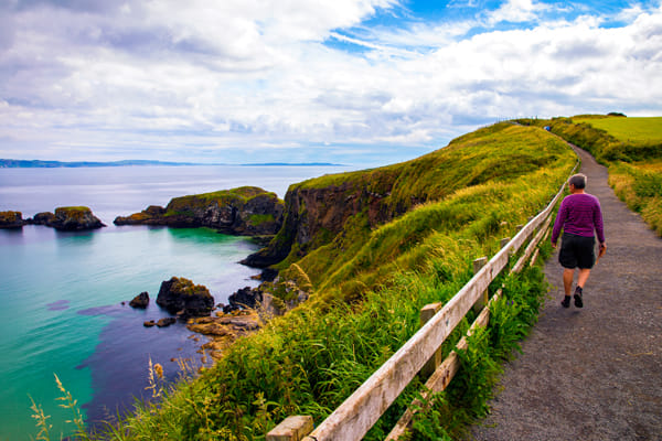 Giant's Causeway, Dark Hedges, & Belfast City 3