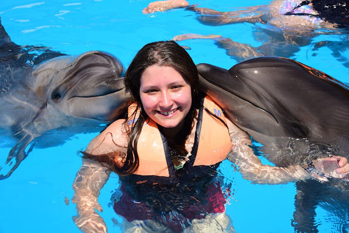 Dolphin Magic Show and Swim options in Sharm El Sheikh