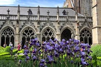 Private tour: Your Own Utrecht - mysteries and treasures 1