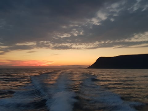  Midnight Whale watching / hydrophone, photo 4
