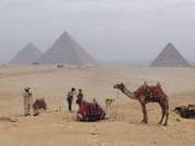 Premium Cairo Over Day Pyramids, New Grand Museum & Lunch - Hurghada 4