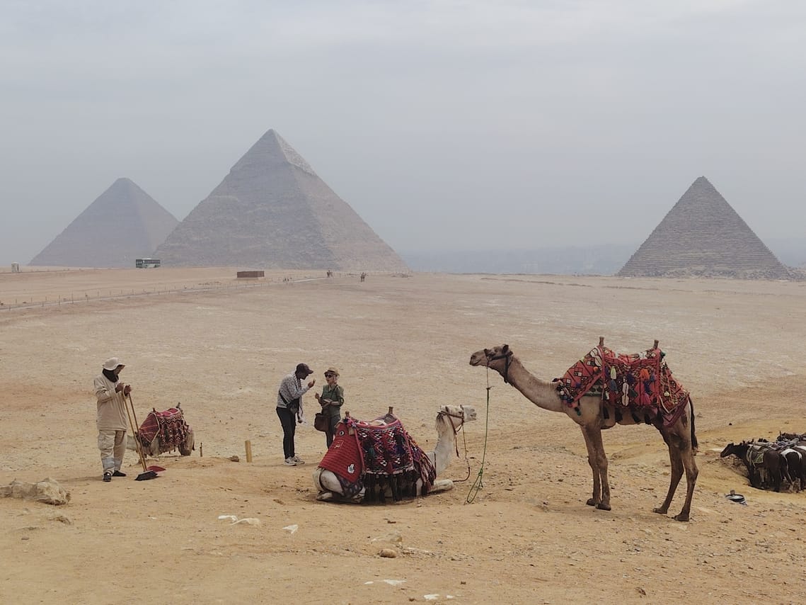 Premium Cairo Over Day Pyramids, New Grand Museum & Lunch - Hurghada 4