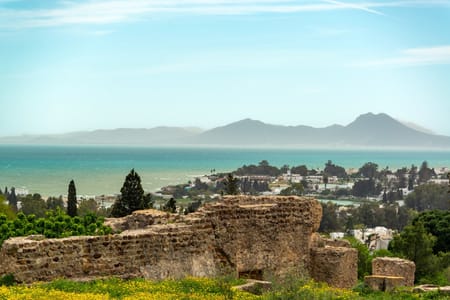 Explore Bardo Museum, Carthage Ruins & Sidi Bou Said Village Tour