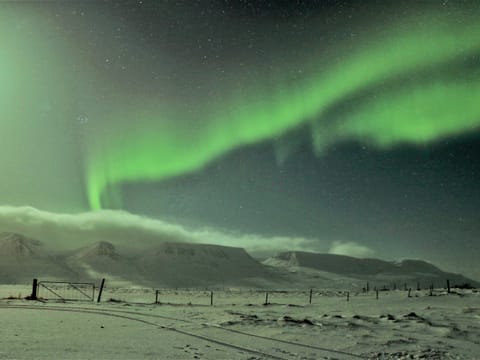 Private - Northern lights from Akureyri – Hunting in the north