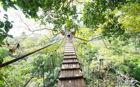 Ziplining Adventure in Phuket's Jungle Canopy