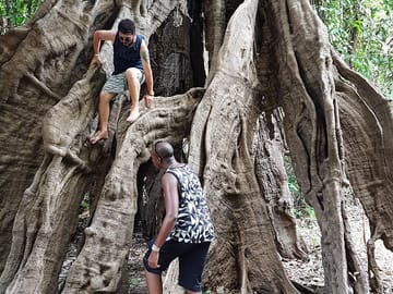 4-Hour Amazon Rainforest Trekking Tour from Manaus