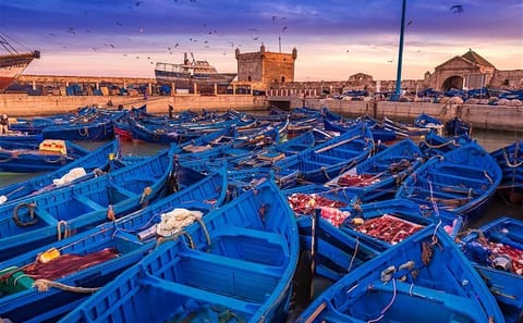 Private 1-Night Tour of Atlas Mountains and Essaouira from Marrakesh