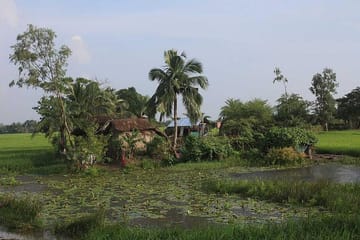 Sunderban Safari Tour from Kolkata to Spot Bengal Tigers