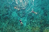 crystal clear water for snorkeling