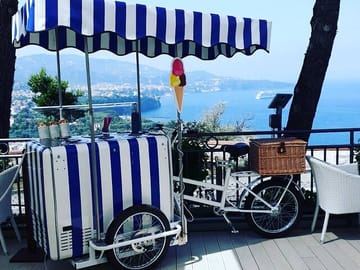 Guided Day Trip to Positano, Sorrento, and Pompeii from Naples