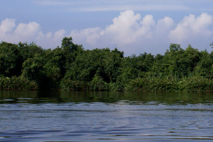 Muthurajawela Sanctuary Boat Safari with Bird Watching