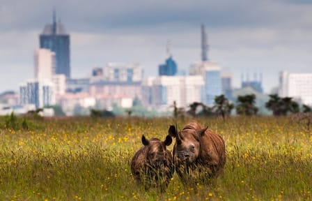 Nairobi National Park Game Drive and Beads Center Guided Tour