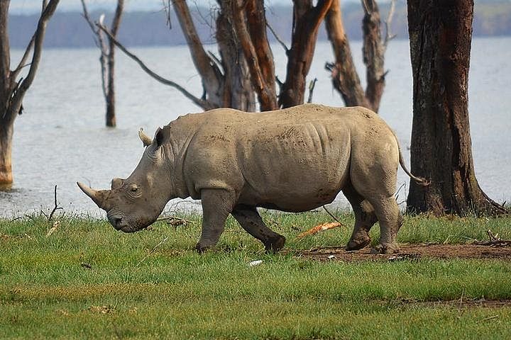 Private Safari to Hell's Gate and Lake Nakuru from Nairobi