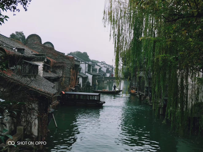 Private Day Tour to Wuzhen Water Town from Shanghai by Car 2