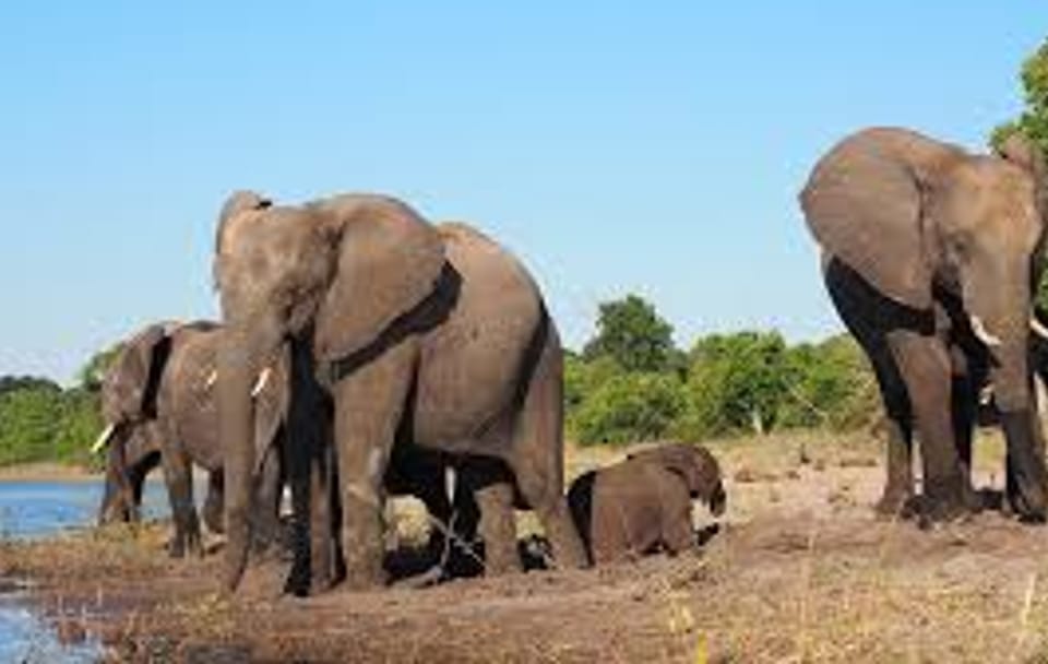 07 Day Nature & Wildlife Tour  In Sri Lanka