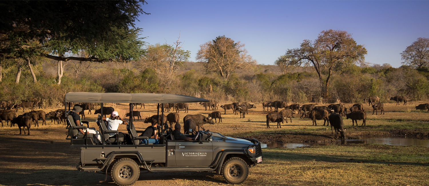 Cuckoo Safaris: Victoria Falls Tours & Activities - Zimbabwe