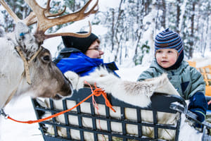 Visit a Reindeer Farm and Husky Farm by Snowmobile Sleigh - Rovaniemi