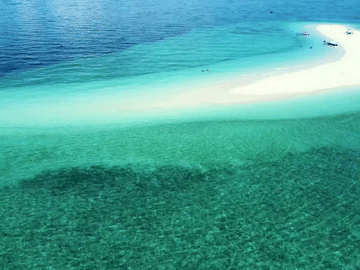 Pungume Island sandbank BBQ