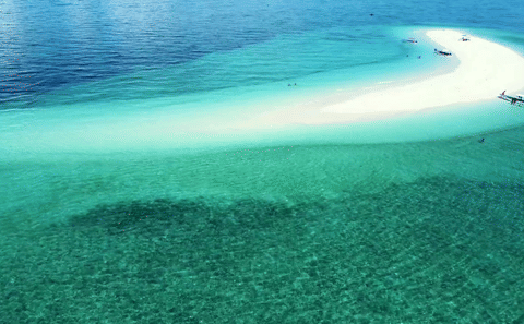 Pungume Island Dolphin Tour and Snorkeling with BBQ Lunch