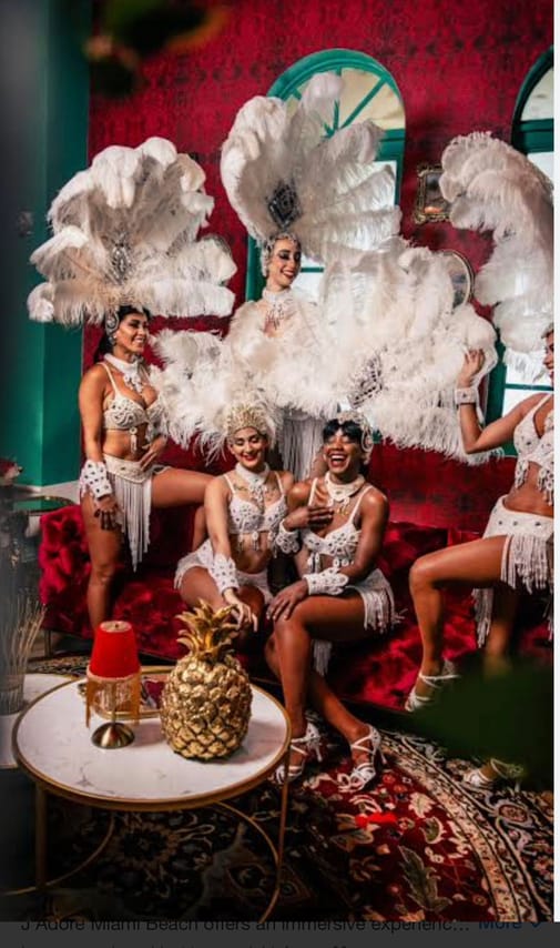Drink up Miami: All Inclusive Nightlife Experience 7