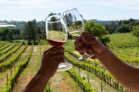 Private Wine & Lagos Exploration: Vineyards & Scenic Views 7
