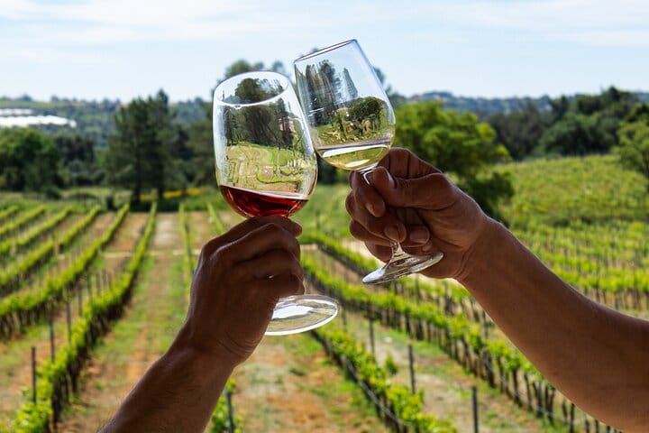 Private Wine & Lagos Exploration: Vineyards & Scenic Views 7