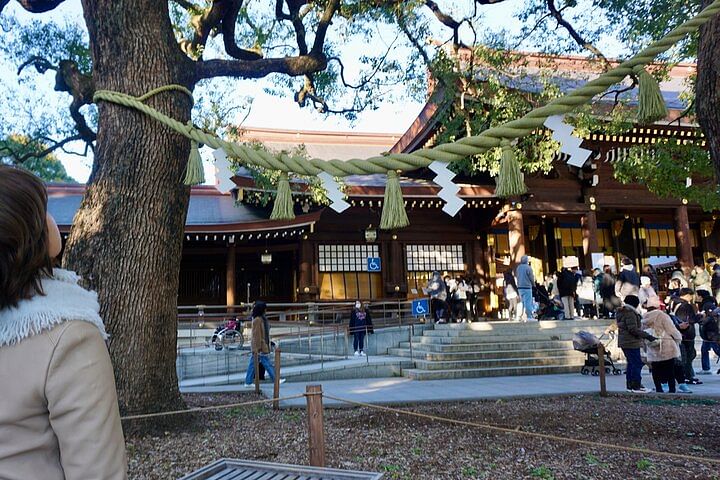 Harajuku From Meiji shrine to Shibuya Crossing 2 hours