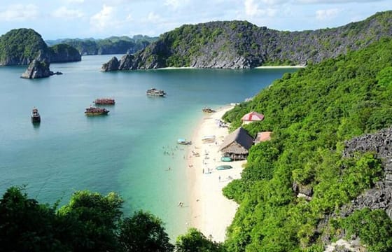 Stellar of the Seas Cruise Halong Bay 3Days 2Night on 5 Star Cruise