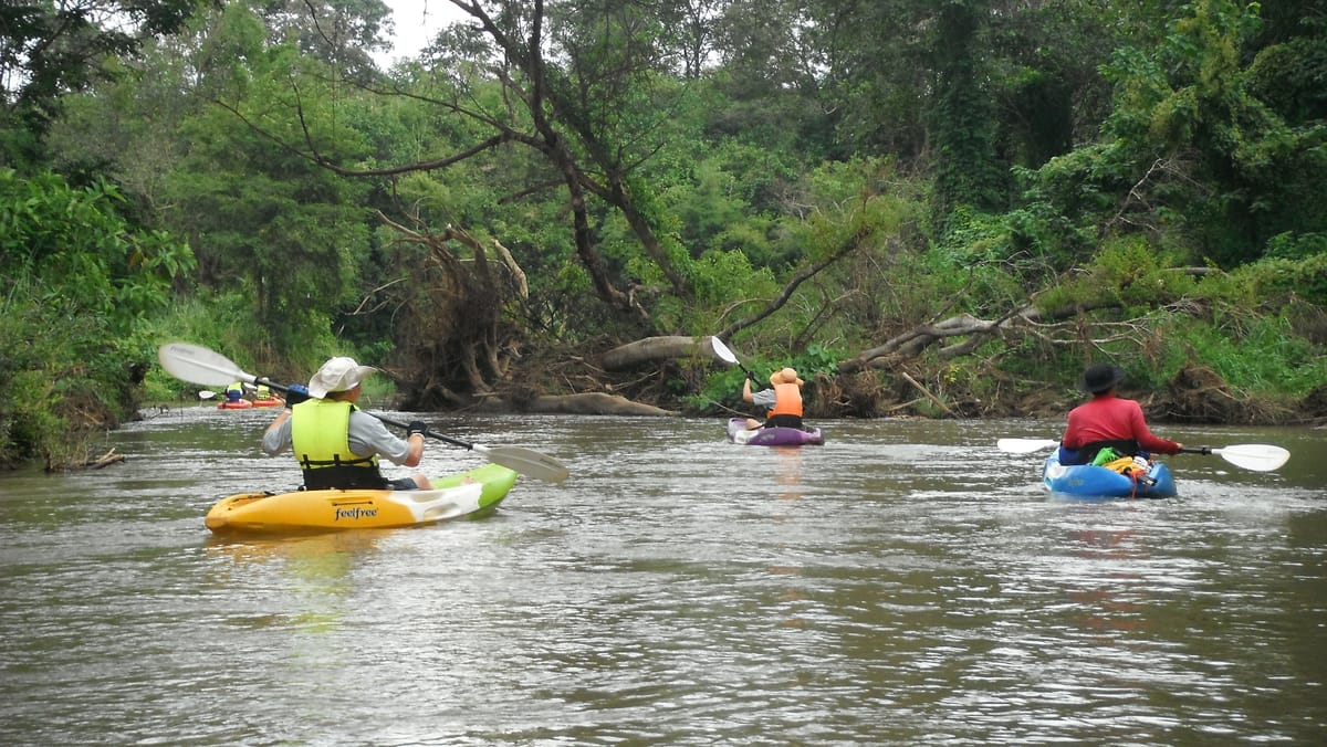 Chiang mai Suthep National Park Leisure Hiking & Mountain Biking