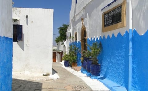 Private Full-Day Cultural Tour of Rabat from Casablanca