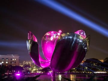 Floralis Generica
