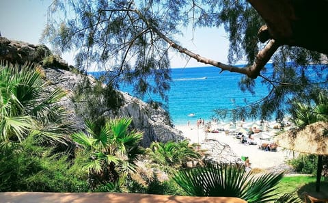 Private Full Day Nature Tour in Spili, Preveli and Plakias