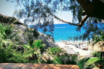 Full Day Private Tour in Botanic Garden Spili, Preveli and Plakias